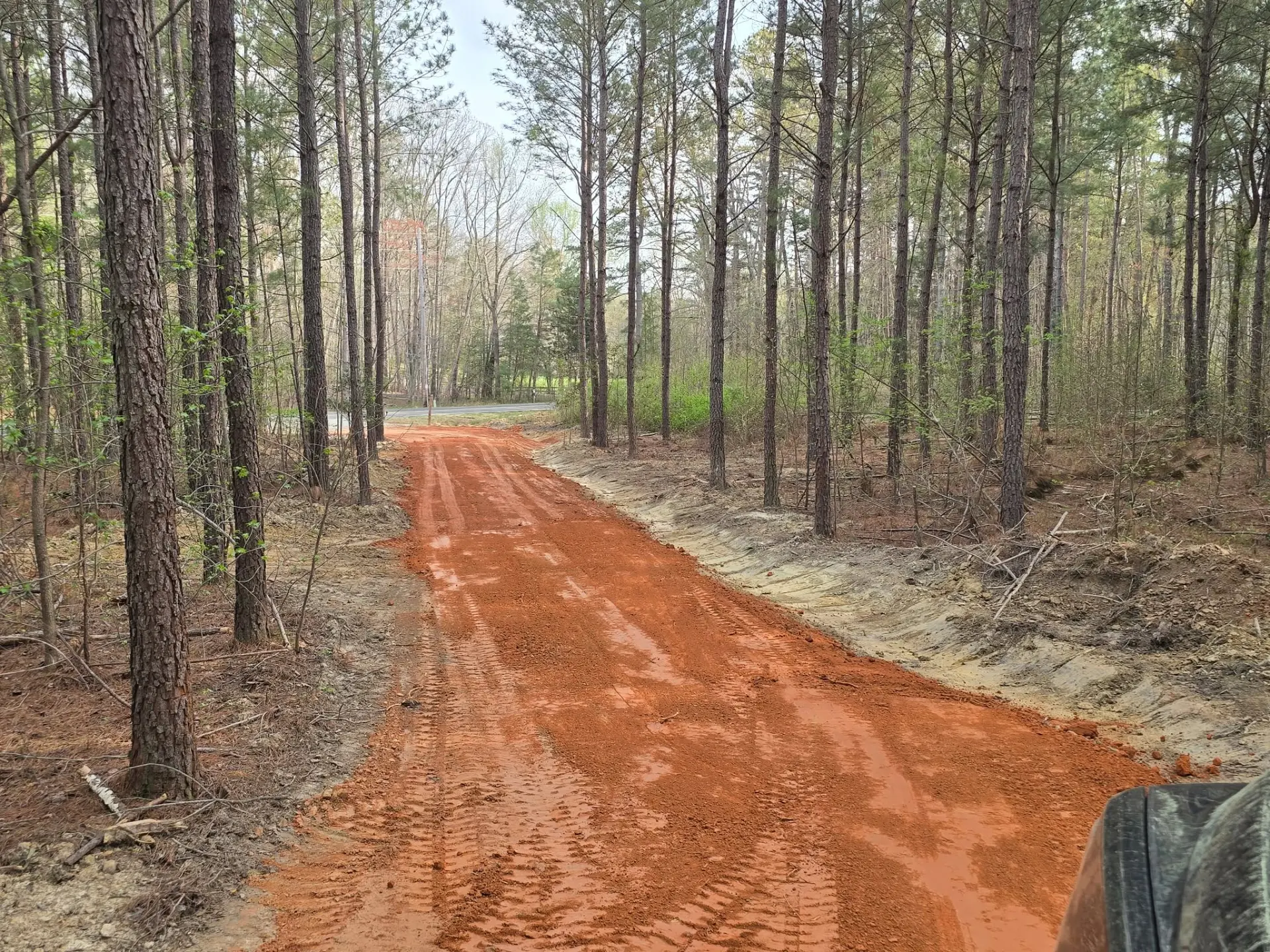 Graded driveway through a wooded property