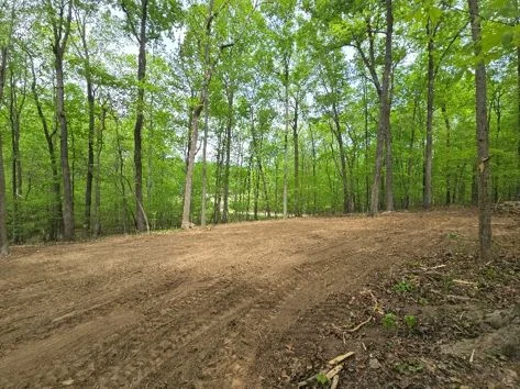 Land Clearing