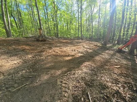 Land Clearing project 2