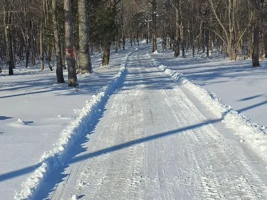 Snow Removal project 3